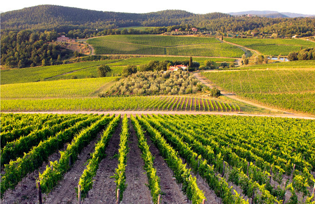 Lire la suite à propos de l’article La conservation des vins…