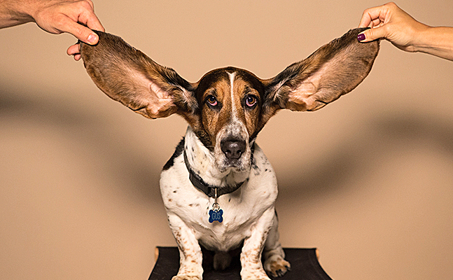 Lire la suite à propos de l’article Acoustique : vos oreilles vous trompent !
