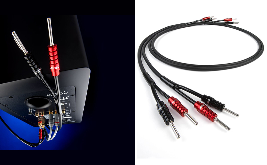 Lire la suite à propos de l’article Nouveau câble d&rsquo;enceinte Leyline2XL de Chord Company